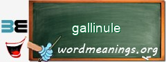 WordMeaning blackboard for gallinule